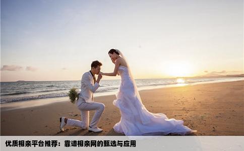优质相亲平台推荐：靠谱相亲网的甄选与应用