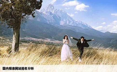国内相亲网站排名分析