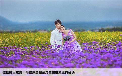 微信聊天攻略：与程序员相亲对象愉快交流的秘诀