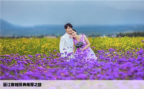 丽江客栈经典推荐之旅