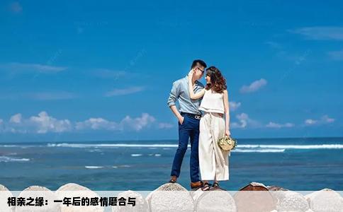 相亲之缘：一年后的感情磨合与