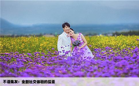 不语集友：全新社交体验的探索