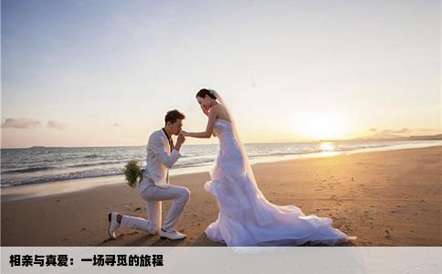 相亲与真爱：一场寻觅的旅程