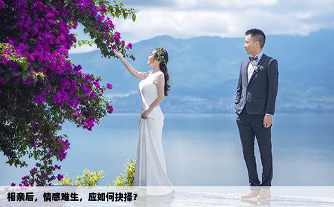 相亲后，情感难生，应如何抉择？