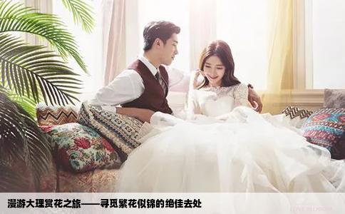 漫游大理赏花之旅——寻觅繁花似锦的绝佳去处