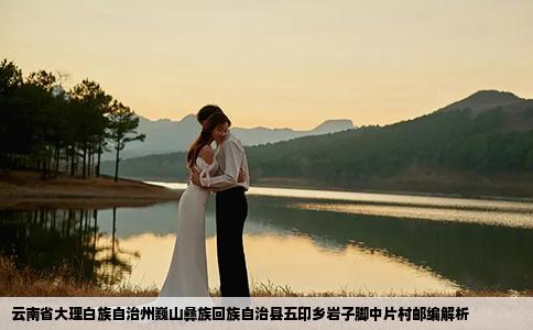 云南省大理白族自治州巍山彝族回族自治县五印乡岩子脚中片村邮编解析