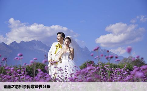 青藤之恋相亲网靠谱性分析