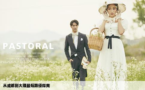 从成都到大理最短路径指南