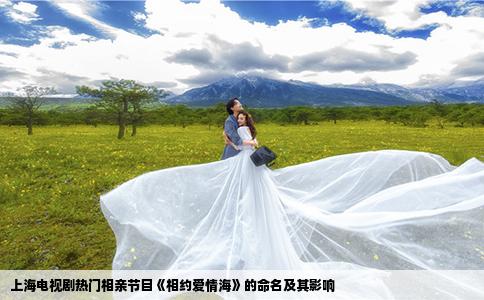 上海电视剧热门相亲节目《相约爱情海》的命名及其影响
