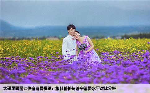 大理昆明丽江住宿消费概览：旅社价格与济宁消费水平对比分析