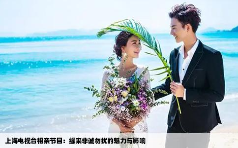 上海电视台相亲节目：缘来非诚勿扰的魅力与影响