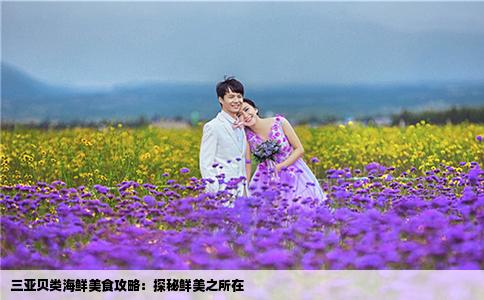 三亚贝类海鲜美食攻略：探秘鲜美之所在