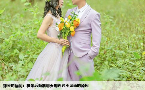 缘分的隔阂：相亲后频繁聊天却迟迟不见面的原因