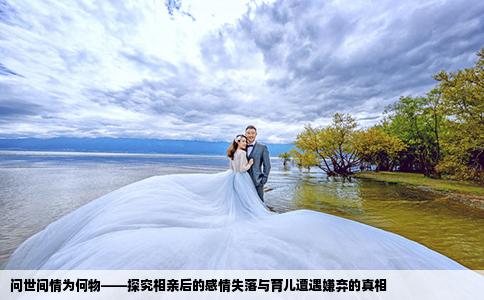 问世间情为何物——探究相亲后的感情失落与育儿遭遇嫌弃的真相