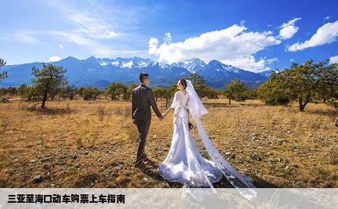 三亚至海口动车购票上车指南