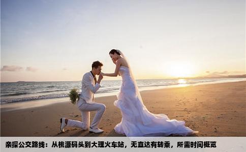 亲探公交路线：从桃源码头到大理火车站，无直达有转乘，所需时间概览