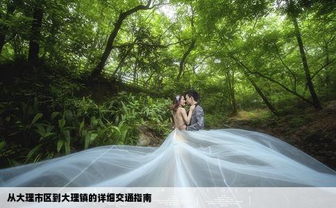 从大理市区到大理镇的详细交通指南