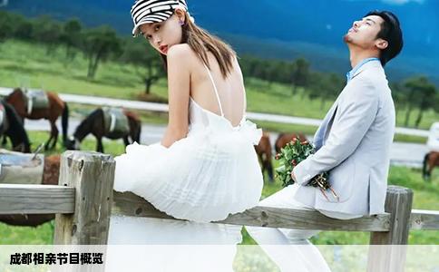 成都相亲节目概览
