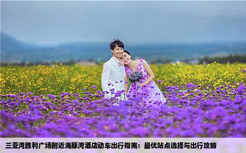 三亚湾胜利广场附近海豚湾酒店动车出行指南：最优站点选择与出行攻略