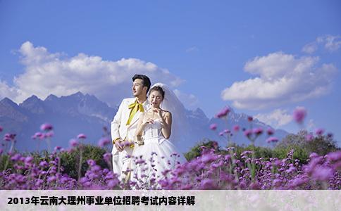 2013年云南大理州事业单位招聘考试内容详解