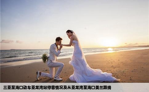 三亚至海口动车亚龙湾站停靠情况及从亚龙湾至海口美兰路线