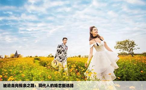 被迫走向相亲之路：现代人的婚恋新选择