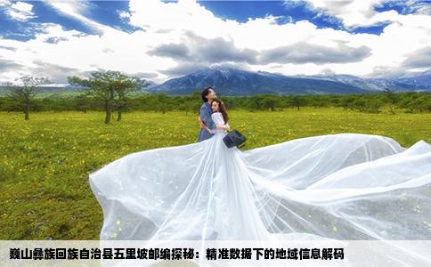 巍山彝族回族自治县五里坡邮编探秘：精准数据下的地域信息解码