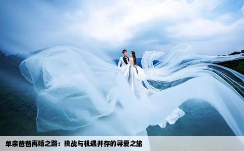 单亲爸爸再婚之路：挑战与机遇并存的寻爱之旅