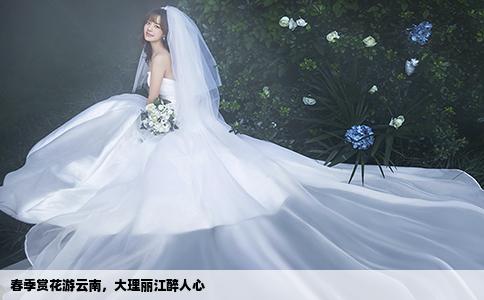 春季赏花游云南,大理丽江醉人心