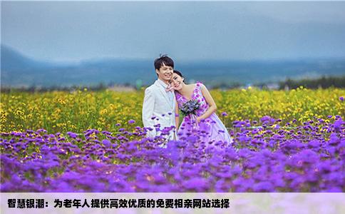 智慧银潮：为老年人提供高效优质的免费相亲网站选择