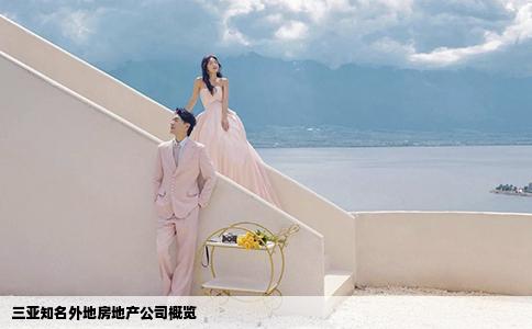 三亚知名外地房地产公司概览