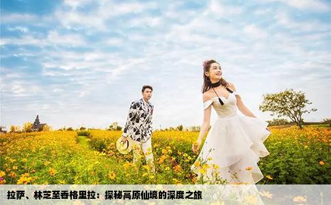 拉萨、林芝至香格里拉：探秘高原仙境的深度之旅