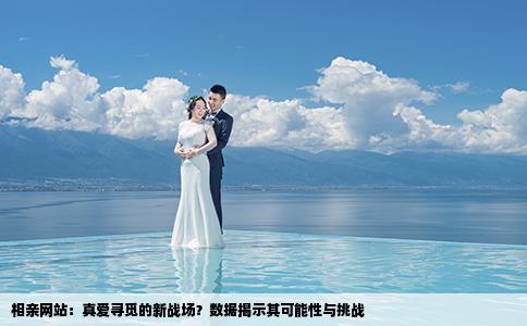 相亲网站：真爱寻觅的新战场？数据揭示其可能性与挑战
