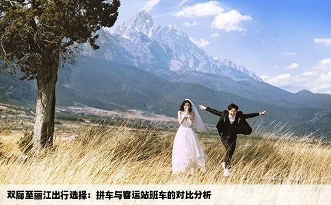双廊至丽江出行选择：拼车与客运站班车的对比分析