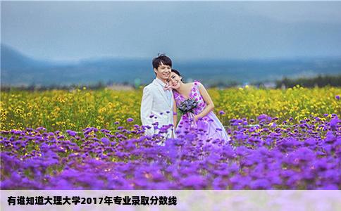 有谁知道大理大学2017年专业录取分数线