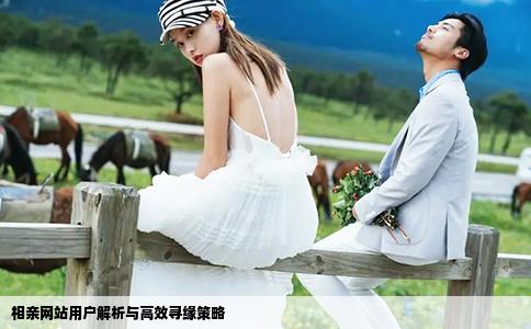 相亲网站用户解析与高效寻缘策略