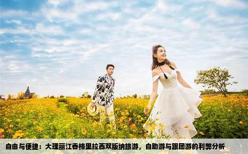 自由与便捷：大理丽江香格里拉西双版纳旅游，自助游与跟团游的利弊分析