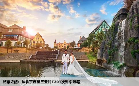 站票之旅：从北京西至三亚的T201次列车随笔