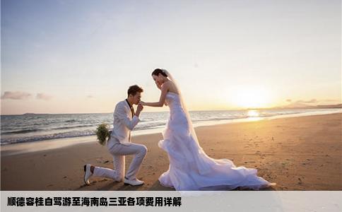 顺德容桂自驾游至海南岛三亚各项费用详解