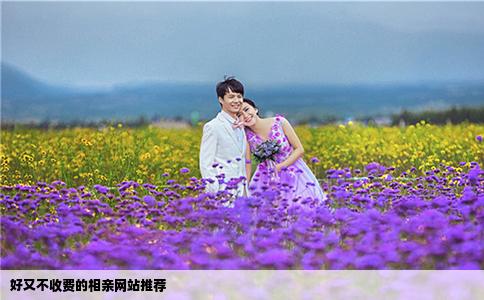 好又不收费的相亲网站推荐