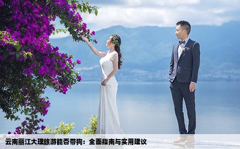 云南丽江大理旅游能否带狗：全面指南与实用建议