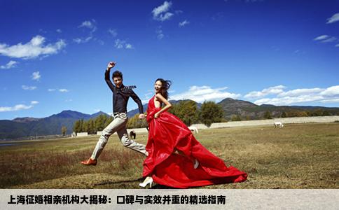 上海征婚相亲机构大揭秘：口碑与实效并重的精选指南