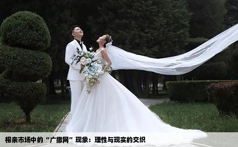 相亲市场中的“广撒网”现象：理性与现实的交织