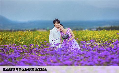 三亚地铁与景区便捷交通之探索