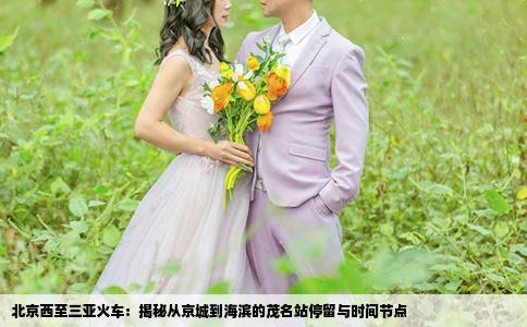 北京西至三亚火车：揭秘从京城到海滨的茂名站停留与时间节点