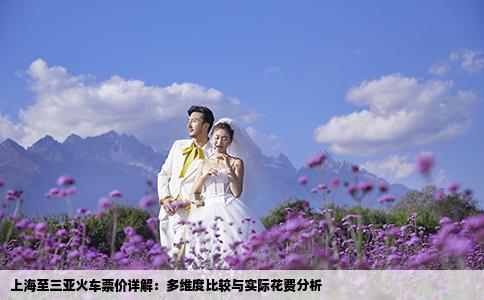 上海至三亚火车票价详解：多维度比较与实际花费分析