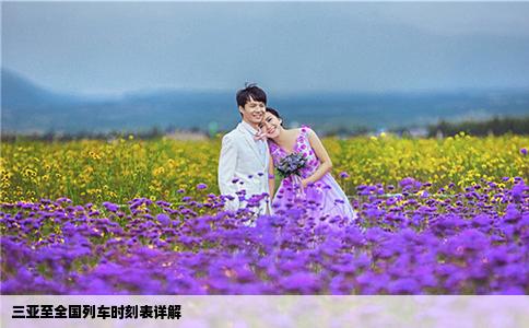 三亚至全国列车时刻表详解