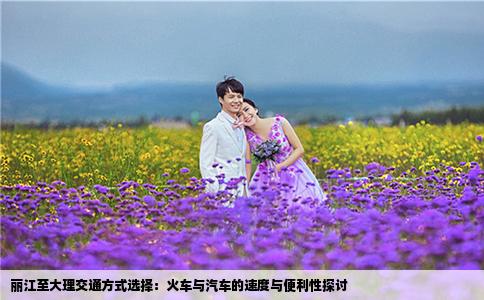 丽江至大理交通方式选择：火车与汽车的速度与便利性探讨