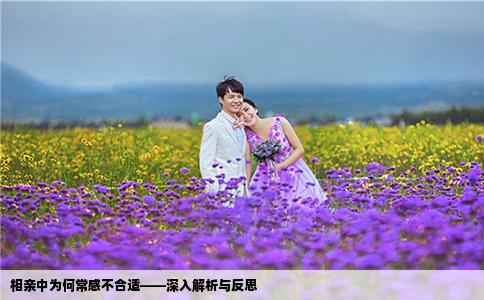 相亲中为何常感不合适——深入解析与反思