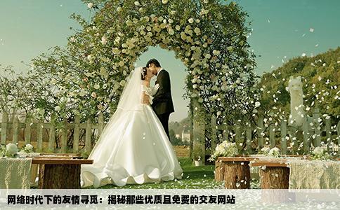 网络时代下的友情寻觅：揭秘那些优质且免费的交友网站